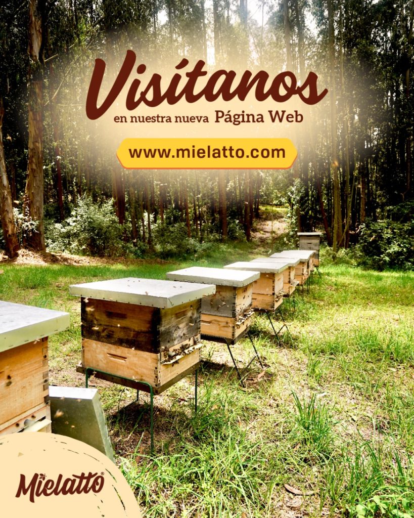 mielatto visitanos – Apiarios El Pinar