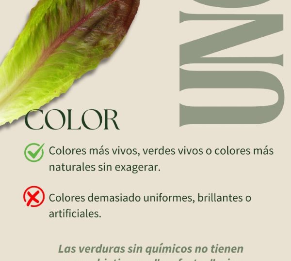 mod 2 loc 29 6
