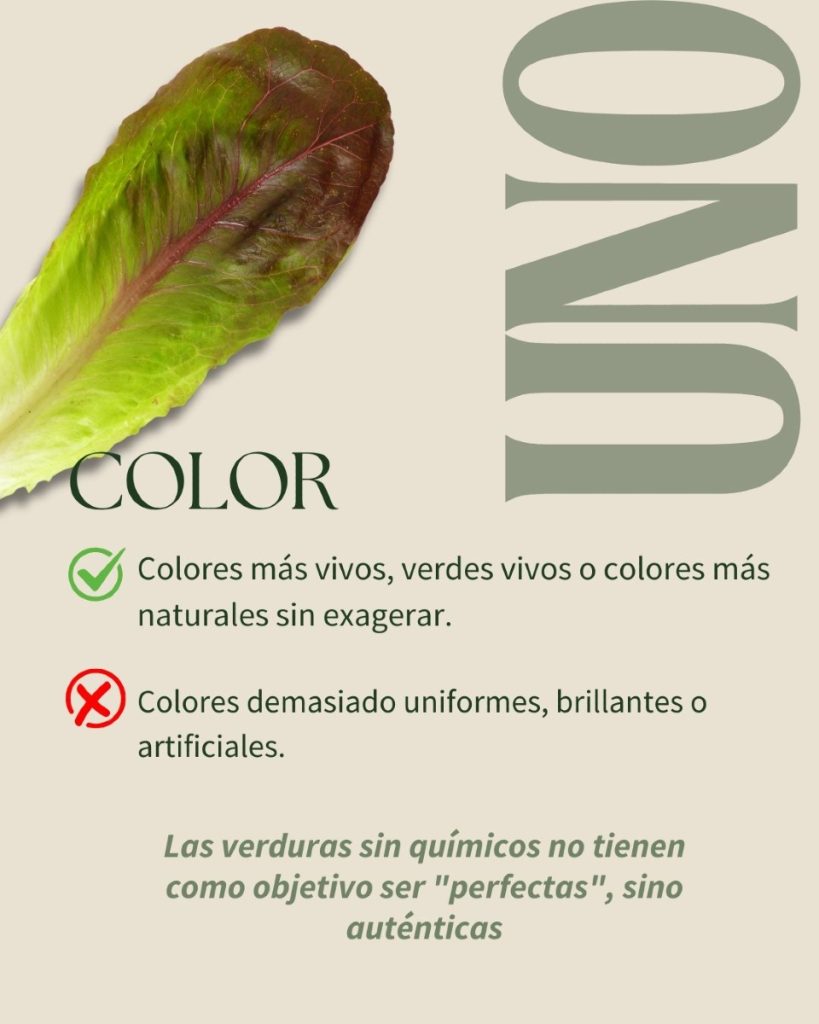 mod 2 loc 29 6