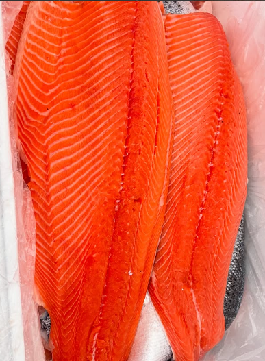 Captura de pantalla 2026-03-12 163703